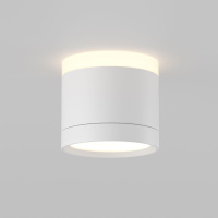 Потолочный светильник Maytoni Technical Pauline C120CL-GX53-W