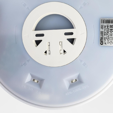 Настенно-потолочный светильник Citilux Etalon CL750241