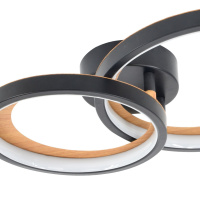 Потолочный светильник Escada Callisto 10265/2LED