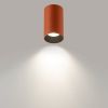 Накладной светильник Citilux Axel CL512114