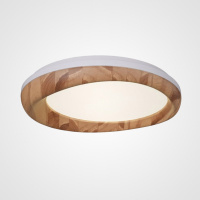 Потолочный светильник ImperiumLoft Runis 219478-26