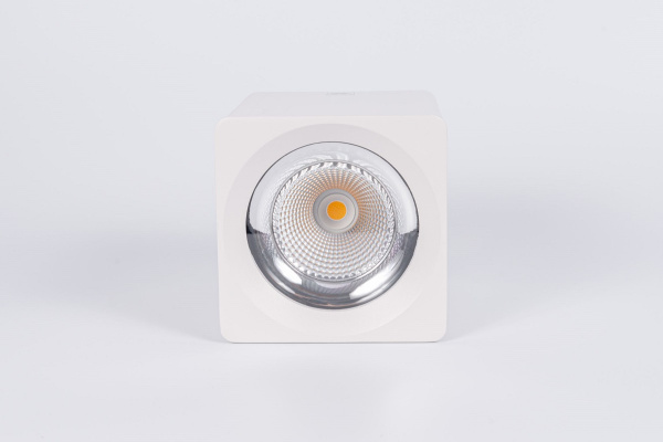 Накладной светильник Fiberli CH-SD220-1 12120101