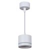 Подвесной светильник Reluce 53003-0.9-001LD GX53 WT