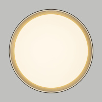 Потолочный светильник Citilux Boss CL751351G