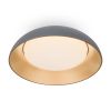 Потолочный светильник Freya Moonlight FR5277CL-L72GR