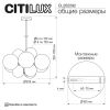 Подвесная люстра Citilux Orton CL202292