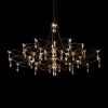 Подвесная люстра Loft IT Mira 10590/1000 Gold Asfour