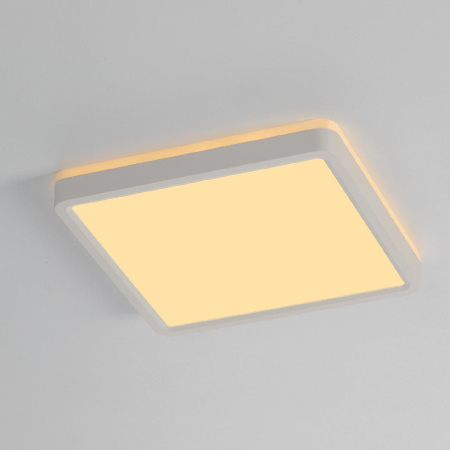 Настенно-потолочный светильник Citilux Norma CL748K200