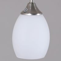 Люстра на штанге Reluce 08037-0.3-04 SN