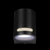 Уличный настенный светильник Loft IT Stema 100012/A