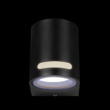 Уличный настенный светильник Loft IT Stema 100012/A