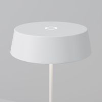 Уличный переносной аккумуляторный светильник Maytoni Porto O540TL-L2WCCT