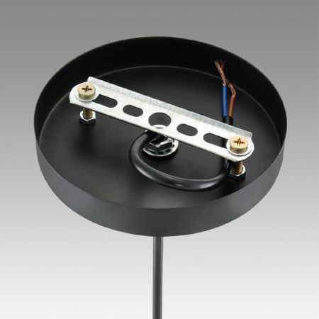 Подвесной светильник Lumion Suspentioni Leonela 8052/1A