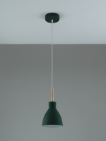 Подвесной светильник Moderli Toni V11805-1P