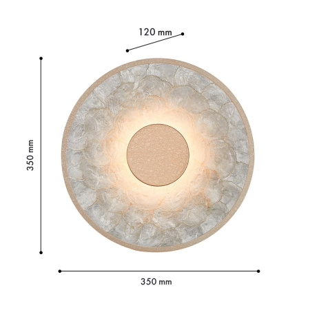 Настенный светильник Favourite Solarius 4858-1W