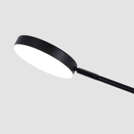 Потолочный светильник Favourite Vorago 4572-1C