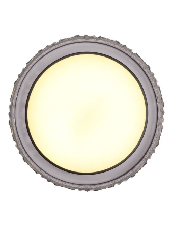 Потолочный светильник Zortes Adel ZRS.1200.02