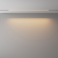 Трековый магнитный светильник Maytoni Technical Basis Exility X TR240-4-18WTW-DSZ-B