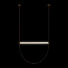 Подвесной светодиодный светильник Loft IT Liana 10221/1700