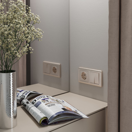 Выключатель двухклавишный шампань рифленый WL10-SW-2G Werkel