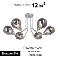 Потолочная люстра Vitaluce V4869-9/6PL