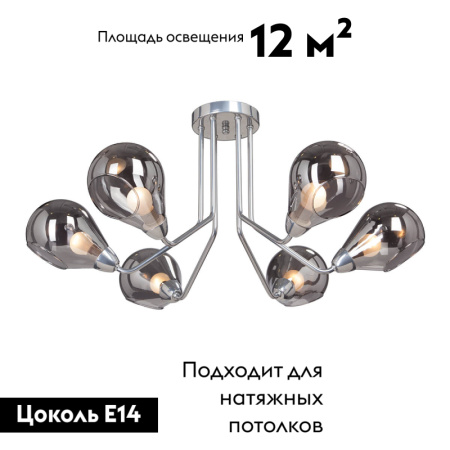 Потолочная люстра Vitaluce V4869-9/6PL