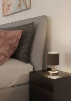 Настольная лампа Eglo Montetto 31842