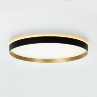 Потолочный светильник Citilux Etalon CL750401R