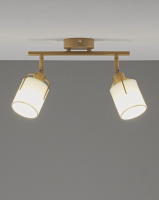 Спот Moderli Inari V11854-2C