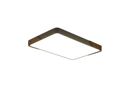 Потолочный светильник Zortes Alberro ZRS.01233.60