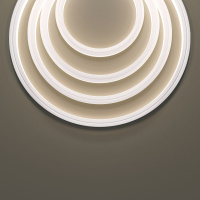 Гибкий неон Maytoni Led strip 24В 12Вт/м 4000K 5м IP67 432023