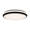 Потолочный светильник Freya Pie FR6086CL-L117B