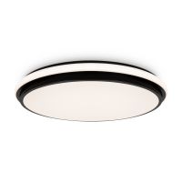 Потолочный светильник Freya Pie FR6086CL-L117B