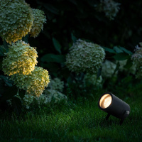 Уличный светильник Elektrostandard Landscape 4690389180958