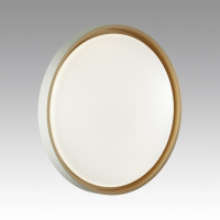 Настенно-потолочный светильник Sonex Color Kisil 7645/ELN