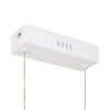 Подвесной светильник Freya Chainy FR6121PL-L38W