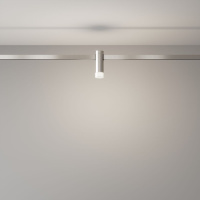 Трековый магнитный светильник Maytoni Skim TR145-1-3W4K-W-PT