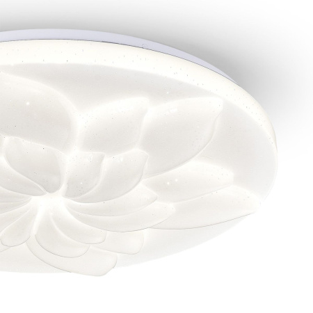 Потолочный светильник Escada Polly 472/PL LED