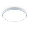 Потолочный светильник Freya Sprida FR6129CL-L80GR