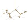 Подвесная люстра Loft IT Agnes 10399/20 GD