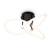Потолочный светильник Freya Fancy FR6059CL-L35B