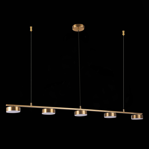 Подвесная светодиодная люстра ST Luce Pances SL6000.303.05