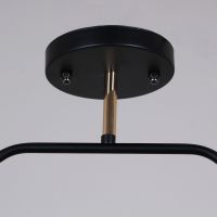 Потолочный светильник Reluce 09103-0.3-02 BK+FG