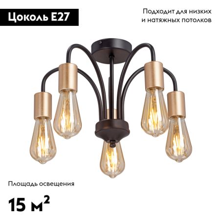 Потолочная люстра Vitaluce V3024-1/5PL