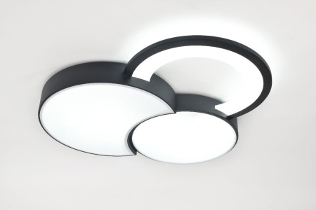 Потолочная люстра Rivoli Aliona 6161-702 Б0066452