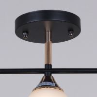 Потолочный светильник Reluce 09103-0.3-03 BK+FG