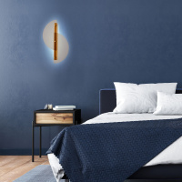 Настенный светодиодный светильник Eurosvet Colour 40160 LED янтарный