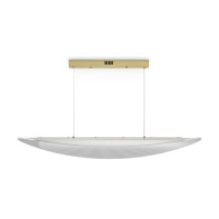 Подвесная люстра Freya Cloud FR5441PL-L40G