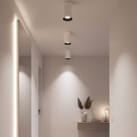 Накладной светильник Citilux Axel CL512110