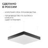 Подвесной светильник Apeyron OLA R30-096